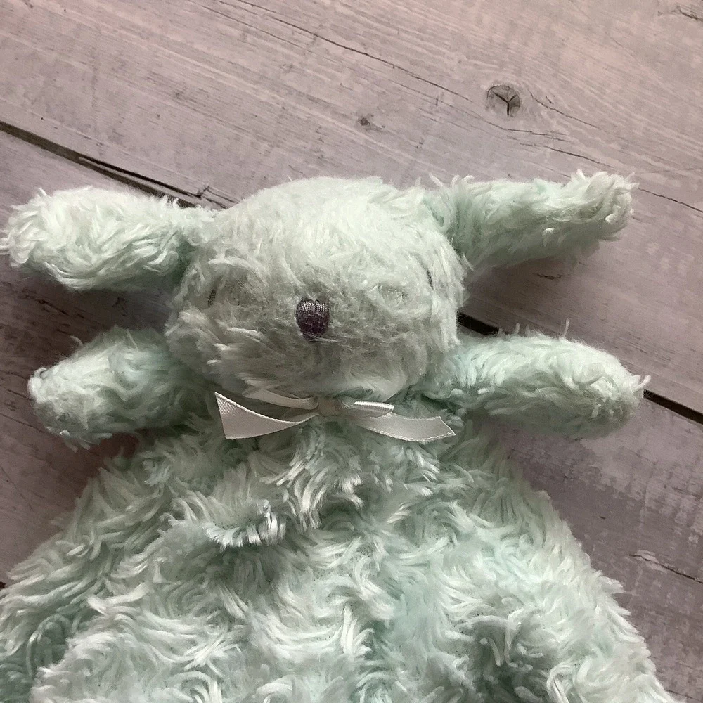 Blankets & Beyond‎ Mint Green Bunny Rabbit Lovey Security Baby Rosettes